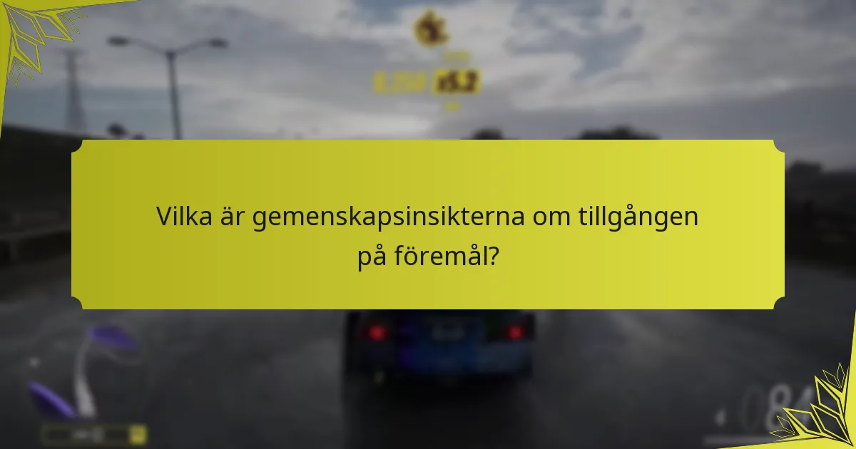 Vilka är gemenskapsinsikterna om tillgången på föremål?